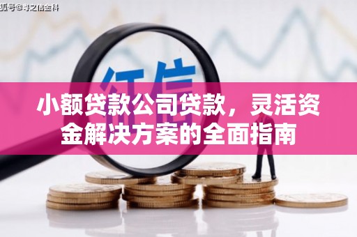 双鸭山小额贷款公司贷款，灵活资金解决方案的全面指南