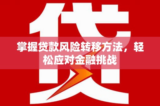 中正掌握贷款风险转移方法，轻松应对金融挑战