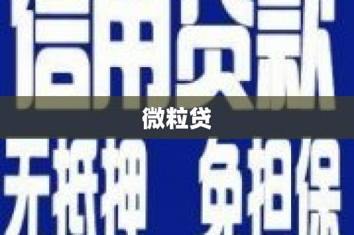拱墅微粒贷