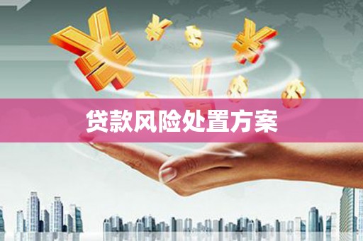 洞头贷款风险处置方案
