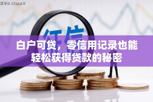 揭西白户可贷，零信用记录也能轻松获得贷款的秘密