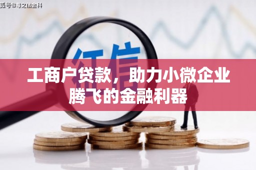 兰考工商户贷款，助力小微企业腾飞的金融利器