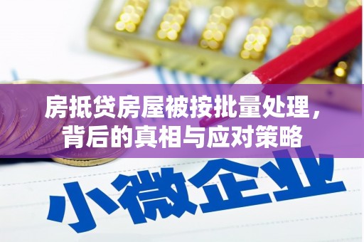 高埗房抵贷房屋被按批量处理，背后的真相与应对策略
