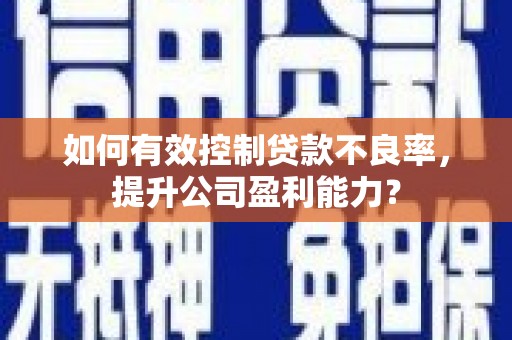 象州如何有效控制贷款不良率，提升公司盈利能力？