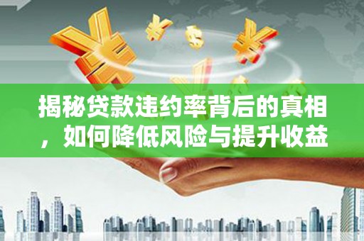 澄海揭秘贷款违约率背后的真相，如何降低风险与提升收益