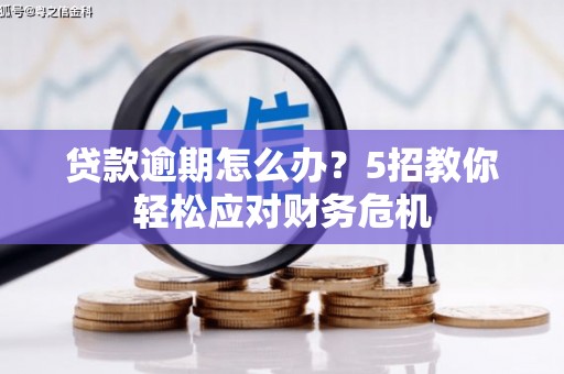 通化贷款逾期怎么办？5招教你轻松应对财务危机