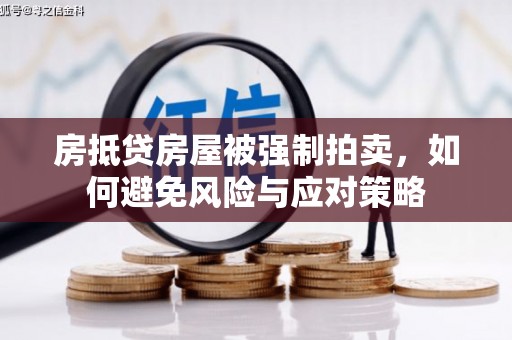 永城房抵贷房屋被强制拍卖，如何避免风险与应对策略