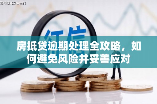 肇源房抵贷逾期处理全攻略，如何避免风险并妥善应对