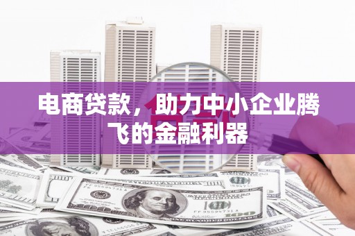 寻甸电商贷款，助力中小企业腾飞的金融利器