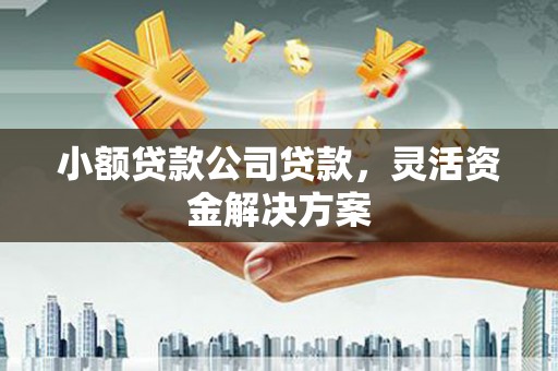 寻甸小额贷款公司贷款，灵活资金解决方案