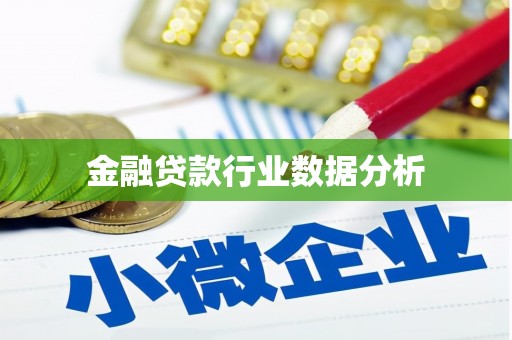 美姑金融贷款行业数据分析