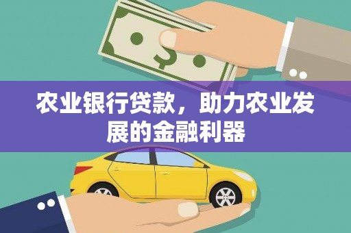 昭通农业银行贷款，助力农业发展的金融利器