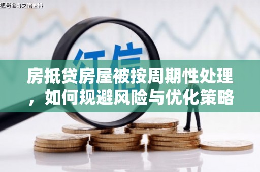 漳县房抵贷房屋被按周期性处理，如何规避风险与优化策略