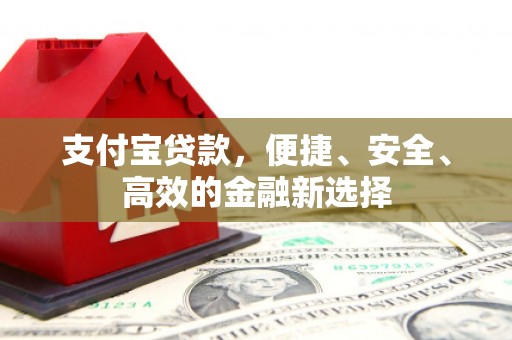 漳县支付宝贷款，便捷、安全、高效的金融新选择