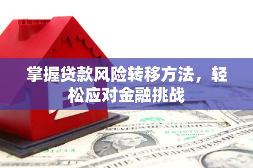 凉城掌握贷款风险转移方法，轻松应对金融挑战