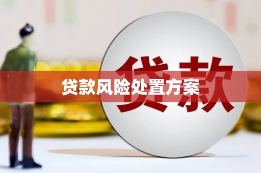 保亭贷款风险处置方案