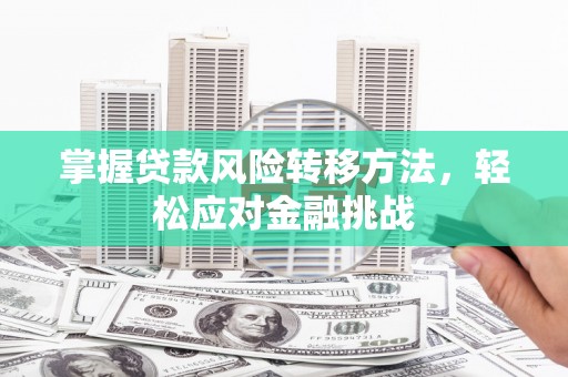 保亭掌握贷款风险转移方法，轻松应对金融挑战