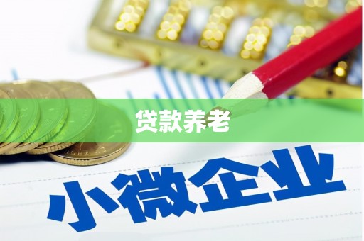 丹徒贷款养老