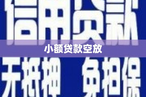 延平小额贷款空放