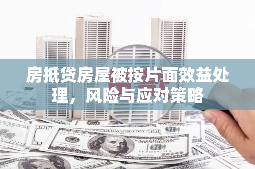 犍为房抵贷房屋被按片面效益处理，风险与应对策略