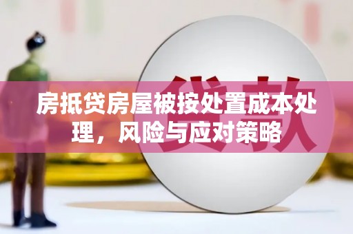 宣威房抵贷房屋被按处置成本处理，风险与应对策略