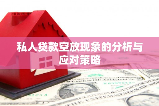 旗津私人贷款空放现象的分析与应对策略