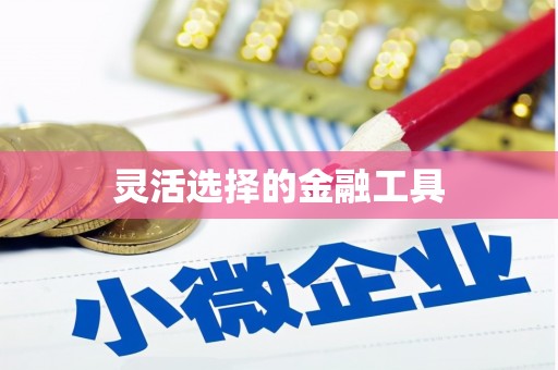 霞浦灵活选择的金融工具