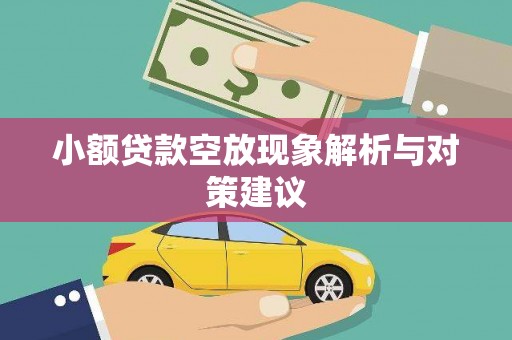 平鲁小额贷款空放现象解析与对策建议