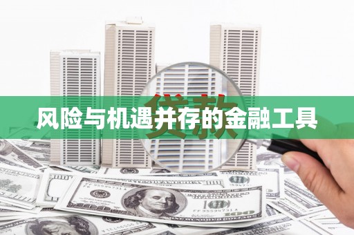西海岸风险与机遇并存的金融工具