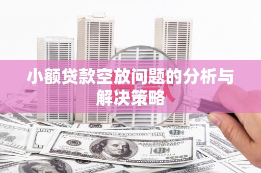 文昌小额贷款空放问题的分析与解决策略