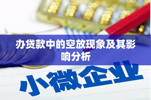 乳源办贷款中的空放现象及其影响分析