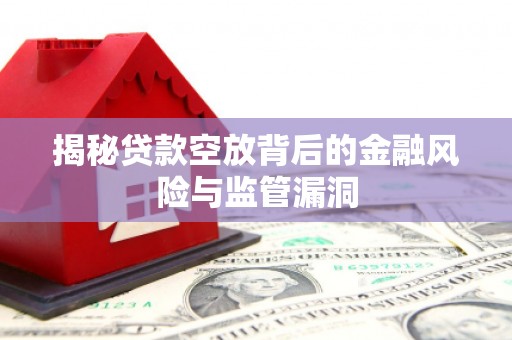 新宁揭秘贷款空放背后的金融风险与监管漏洞