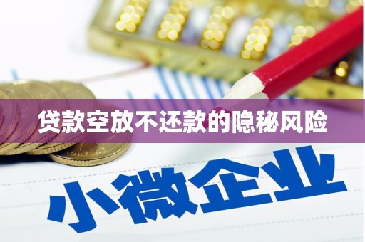 新宁贷款空放不还款的隐秘风险
