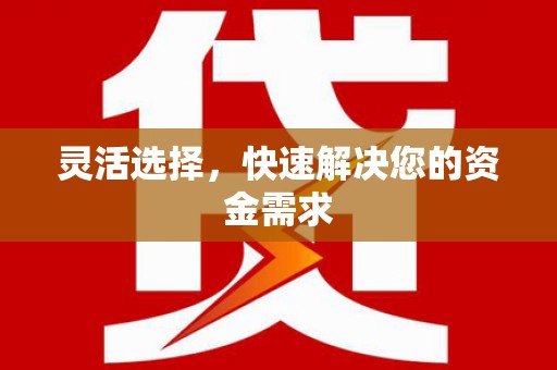 阜南灵活选择，快速解决您的资金需求