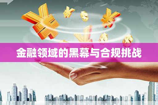 邵武金融领域的黑幕与合规挑战