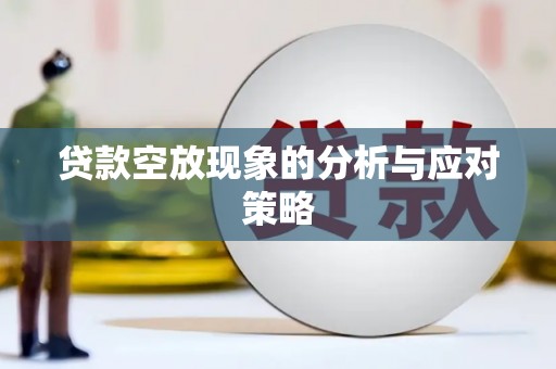 邵武贷款空放现象的分析与应对策略