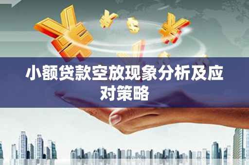 云县小额贷款空放现象分析及应对策略