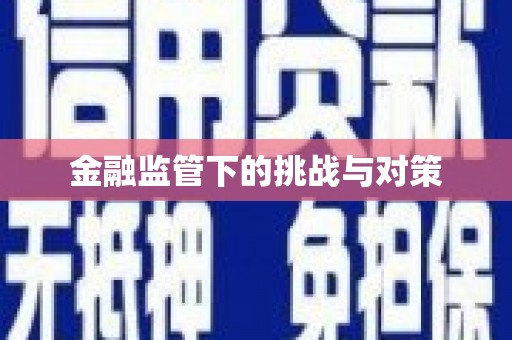 双流金融监管下的挑战与对策