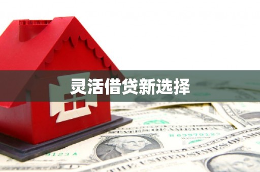 丽江灵活借贷新选择