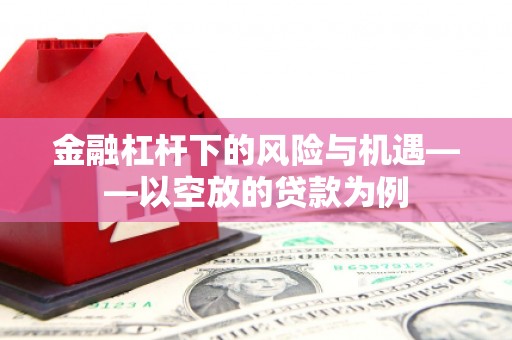 龙亭金融杠杆下的风险与机遇——以空放的贷款为例