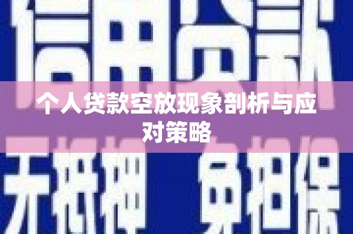 沂南个人贷款空放现象剖析与应对策略