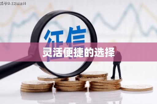 河池灵活便捷的选择