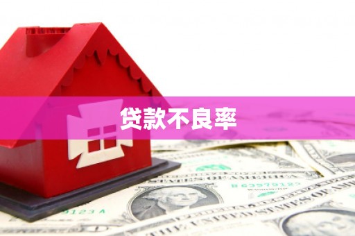 马关贷款不良率